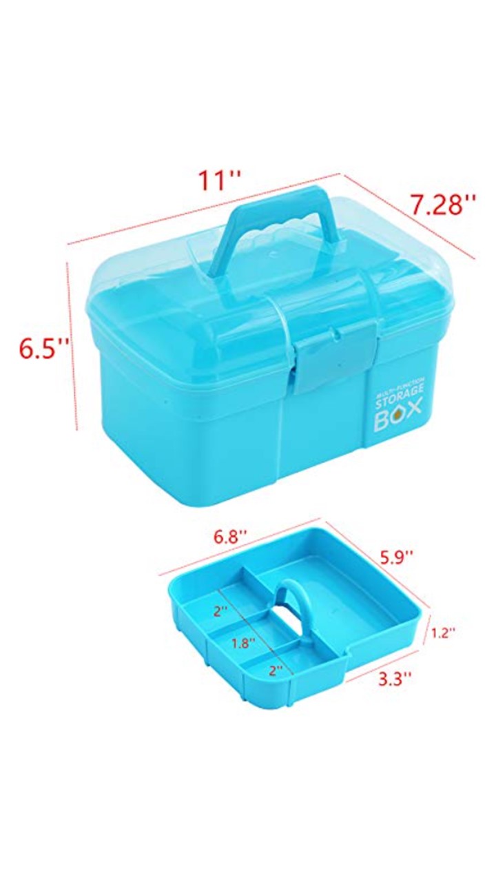 Storage Box with Handle/ Compartments (Carry Case)